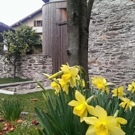 Corte Delle Camelie - Im Erdgeschoss By Interhome شقة *