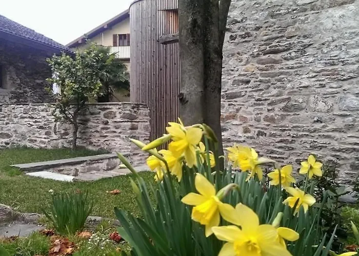 Corte Delle Camelie - Im Erdgeschoss By Interhome Апартаменты *